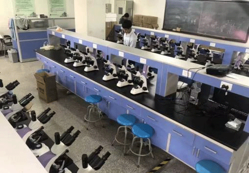 天津城建大學購買羞羞视频网站光電一批三目金相羞羞漫画链接