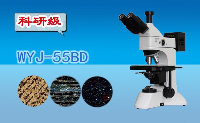 金相羞羞漫画链接的使用技巧
