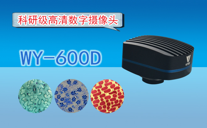 視頻羞羞漫画链接CCD相機和CMOS相機有哪些區別呢？